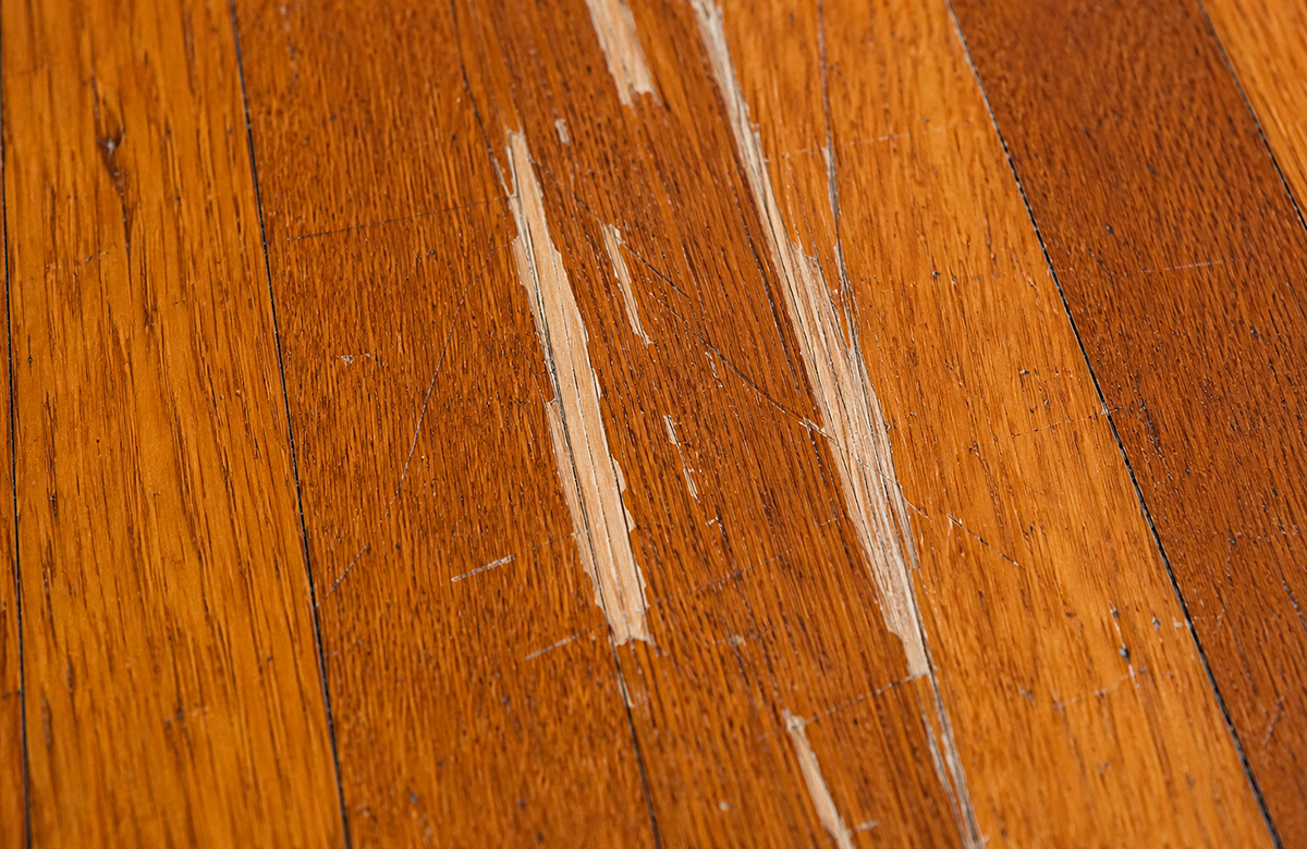Close-up of deep scratches exposing bare wood on a hardwood floor